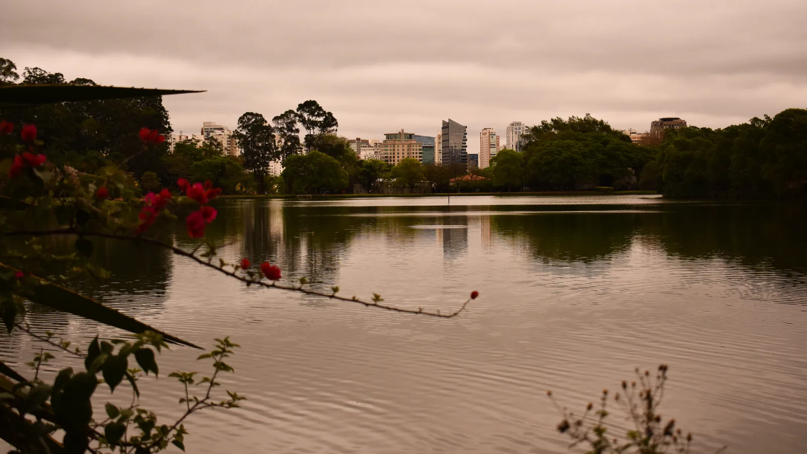 Lago do Parque Ibirapuera com a skyline de São Paulo ao fundo, em dia nublado